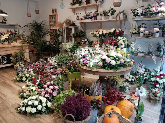 Las Flores de Juan - Oviedo