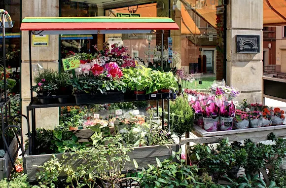 Floristería Arco Iris - Oviedo