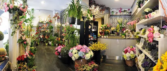 León Deco Floral - León