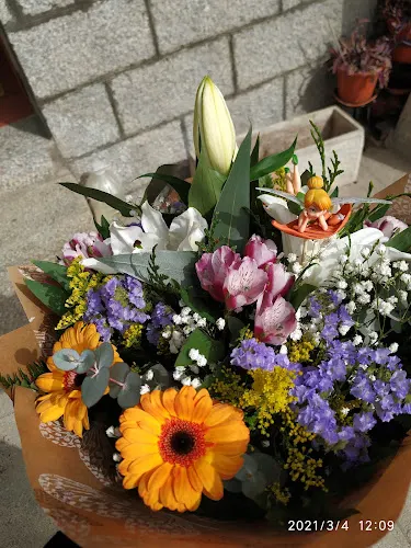La Floristería - Floristería en Adrada (La)