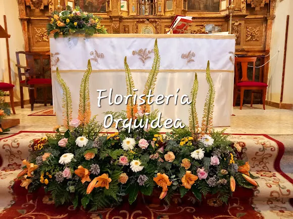 Floristería Orquídea - Arévalo