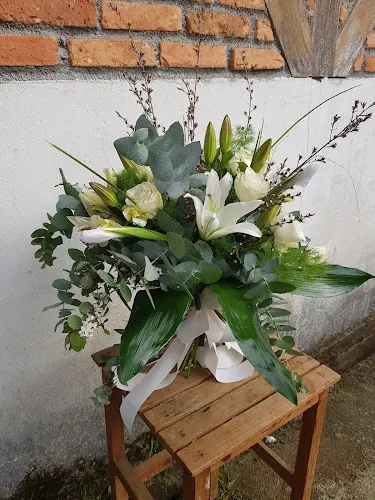 Peñas Blancas Flores y Plantas