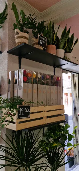 FLORISTERIA PERSÉFONE - El Barco de Avila