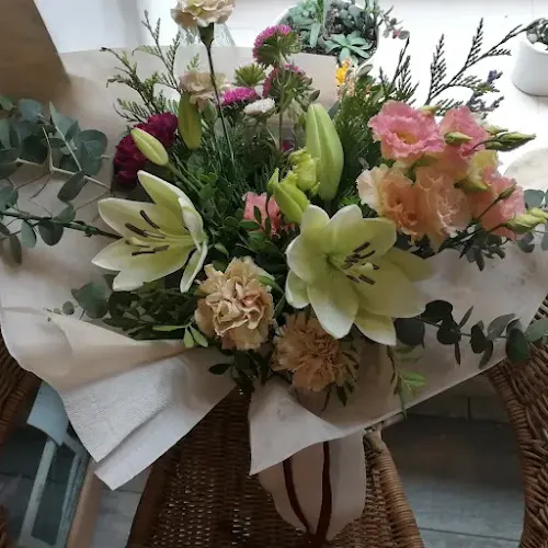 FLOR DE LOLA