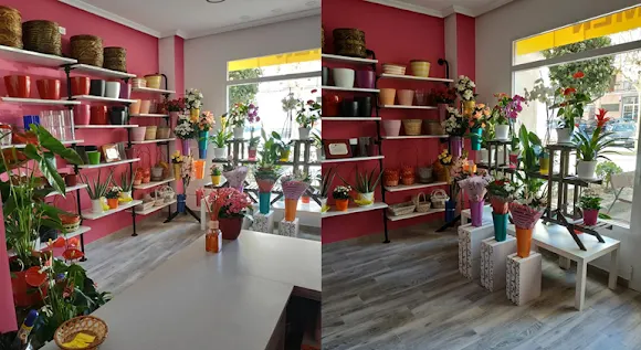 Floristería Carmen - Arévalo