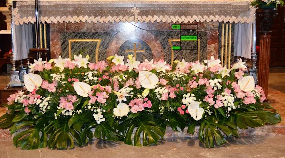 Las flores de Ana - Gijón