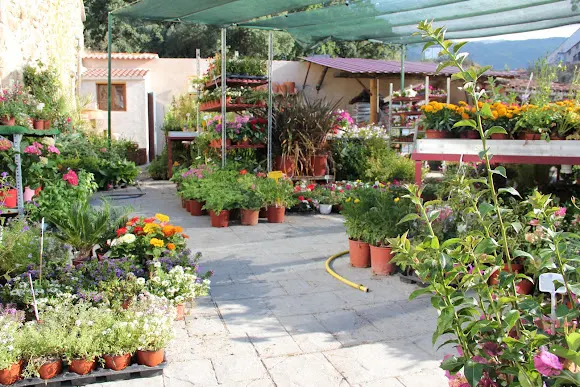 Floristería y vivero El Pajar de Piedralaves - Piedralaves