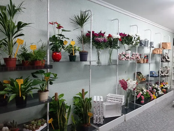 FLORISTERIA FLORES ESTEFANI