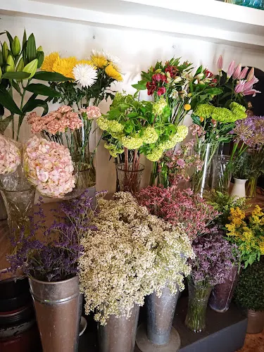 Floristería Pink Flower & Co