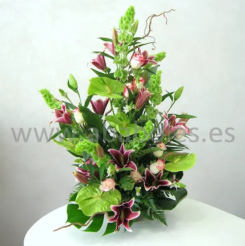 Ababoles Floristería