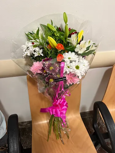 Flores y Plantas Mayte
