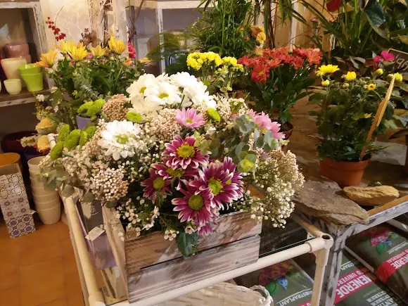 Floristería Nomeolvides_Bejar - Floristería en Béjar
