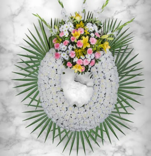 Edelweiss Floristas