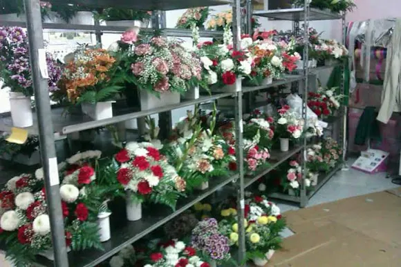 FLORISTERIA VERGARA - Floristería en Santos de Maimona (Los)