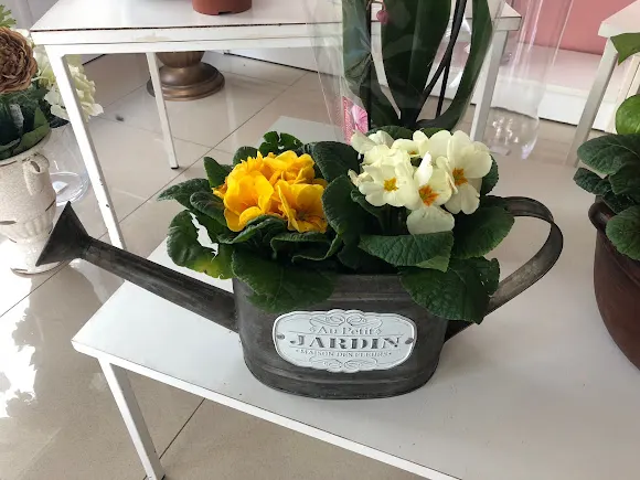 Floristería Anavic - Floristería en Fuente de Cantos