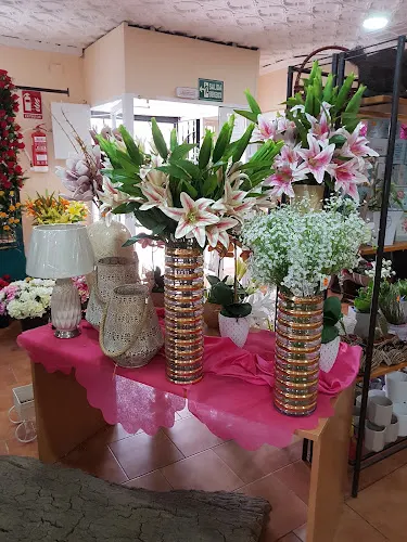 Floristería Los Sauces - Floristería en Santa Amalia