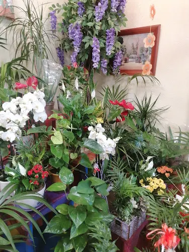 Alonso Floristas - Leganés