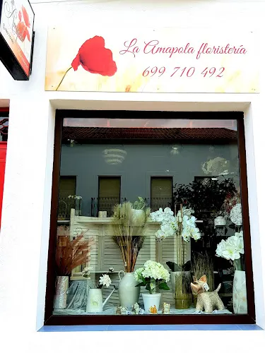 La Amapola Floristería - Floristería en Azuaga