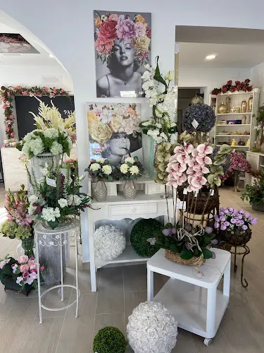 Paloma Floristas