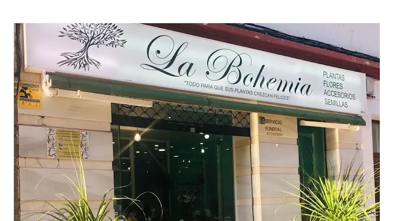 La bohemia