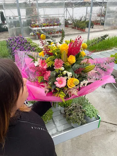 Floristería Floraila Vivero - Nava de la Asuncion