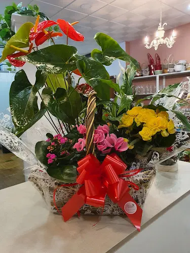 Francis Floristería - Floristería en Don Benito
