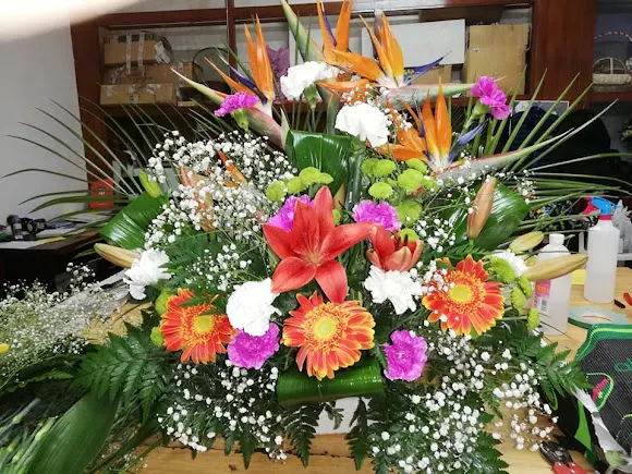 Floristería Milagros