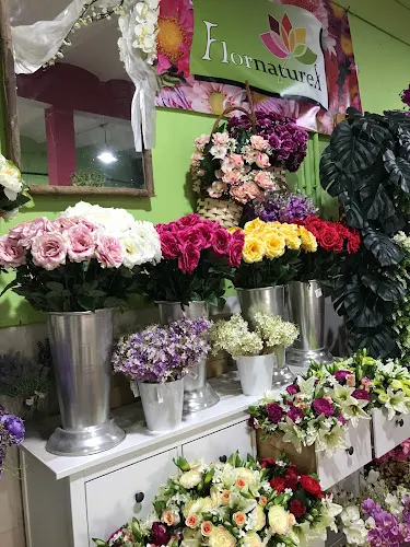 Flornaturex - Mérida
