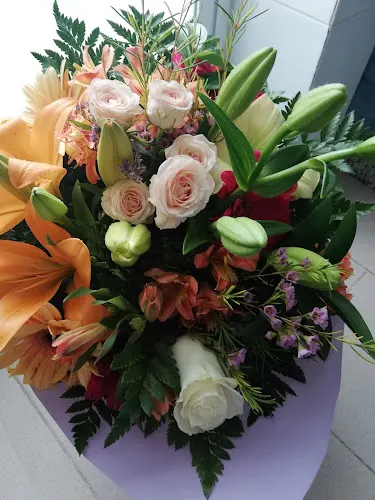 Floristería Samantha