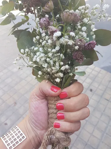 Floristeria El Lledoner