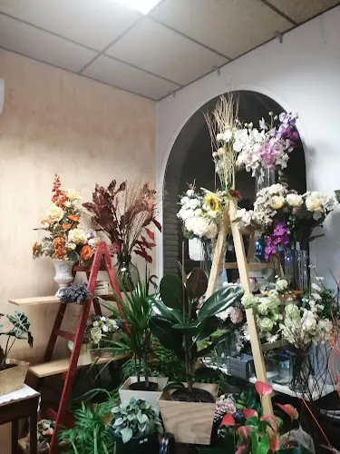 Floristeria Mandri