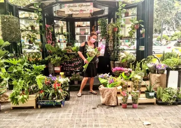 Floristería El Marchoso" muchas flores"