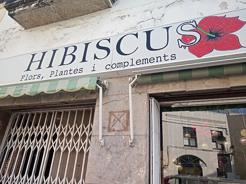 HIBISCUS