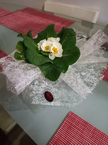 Abril Floristeria
