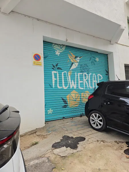 Flowercap · ¡No Flower no Power! - Vilassar de Dalt