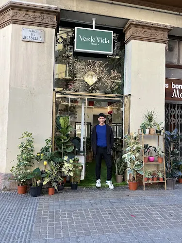 Verde Vida