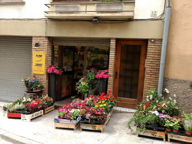 FLOR i JARDÍ -Imma Ferrer- - Moia