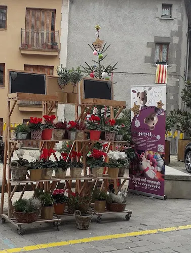 Flors Ca la Glòria