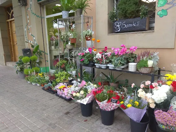 Flors Montse Sala - Floristería en Sant Fruitos de Bages