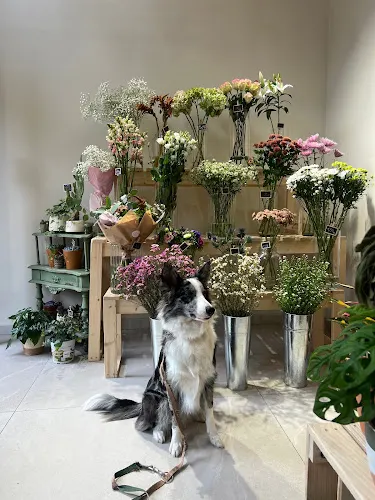 Floristería Floredana