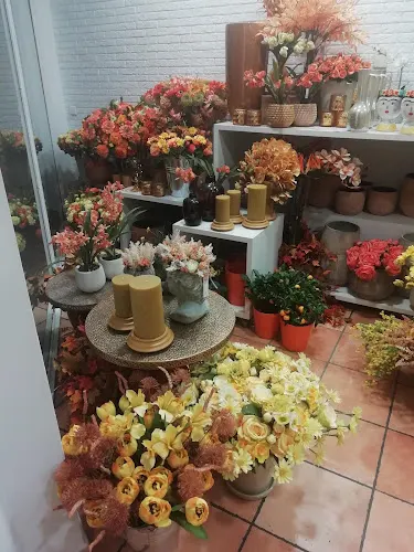Jardinet de la Plana