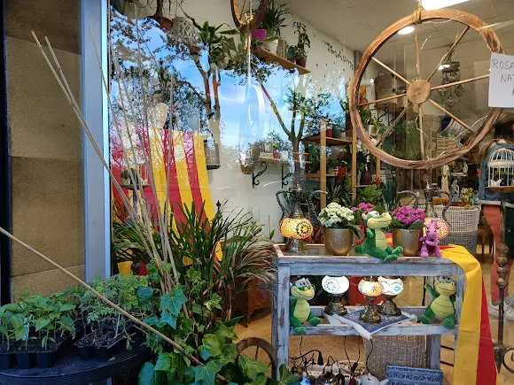 El Jardinet De Les Fades - Polinya