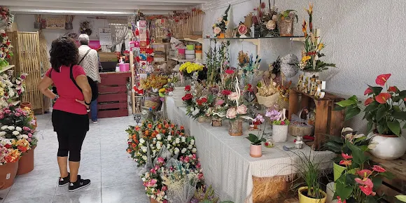 Saüc Floristería