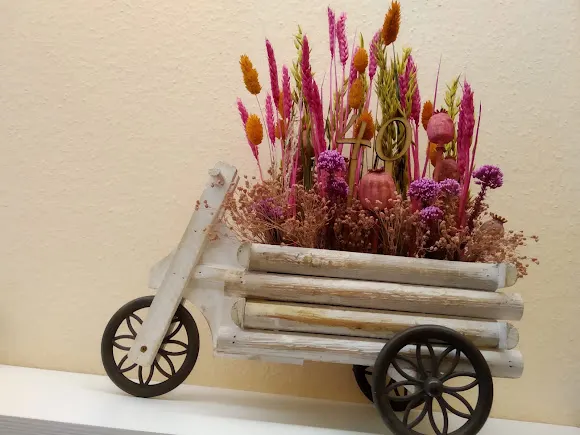 Orquídia - Berga