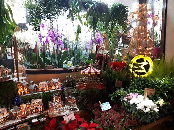 L'Espígol Floristeria