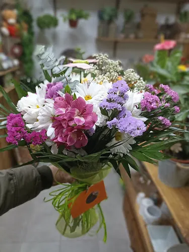 El Jardí d'Adriana - Floristería en Masquefa