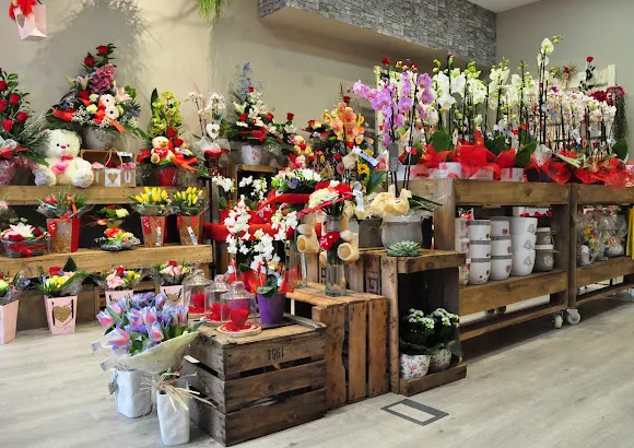 Floristería Cari