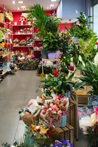 Raquel Floristeries - Flores a Domicilio
