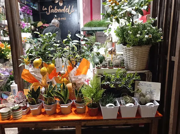 Flors Sabadell