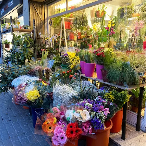 Floristería París